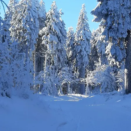 Ferienwohnung Waldblick Oberhof Oberhof  Exterior foto