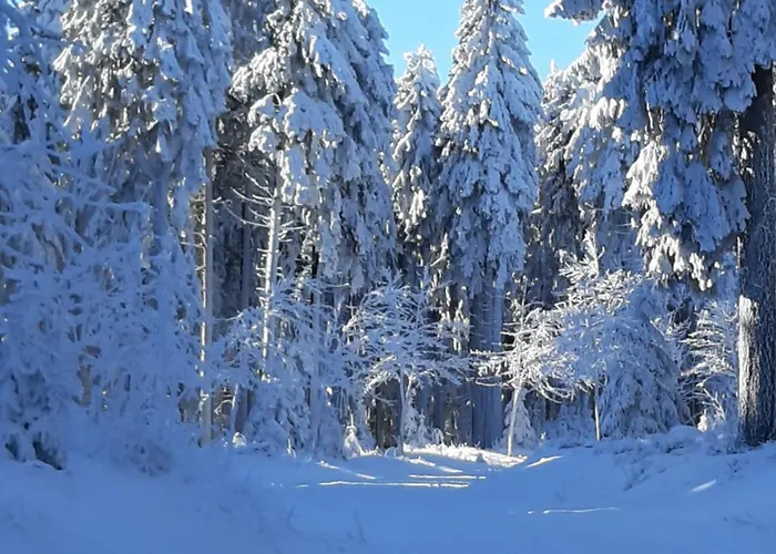 Ferienwohnung Waldblick Oberhof