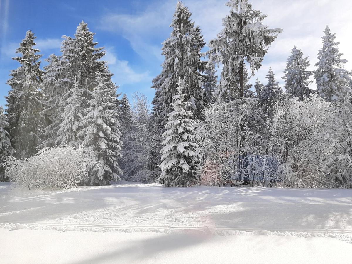 Apartment Waldblick Oberhof *