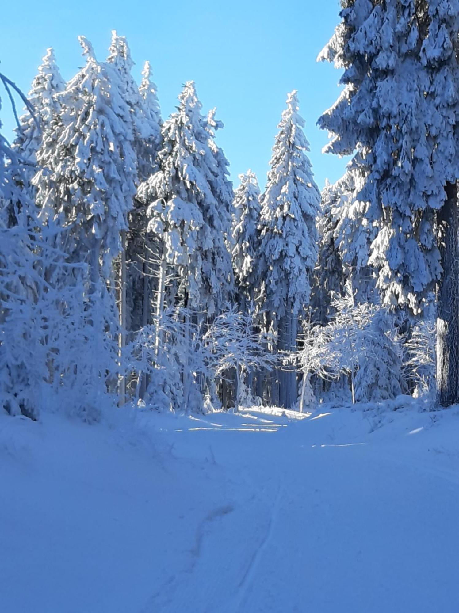 Apartment Waldblick Oberhof
